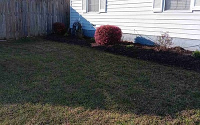 Photo of Dan S.'s yard after getting landscaping in Aydlett, NC