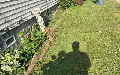 Photo of Anthony N.'s yard after getting landscaping in Woodstock, IL
