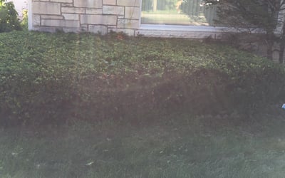 Photo of Gloria W.'s yard after getting landscaping in Sussex, WI