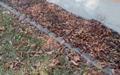 Photo of Stephanie B.'s yard after getting landscaping in Blue Ridge, TX