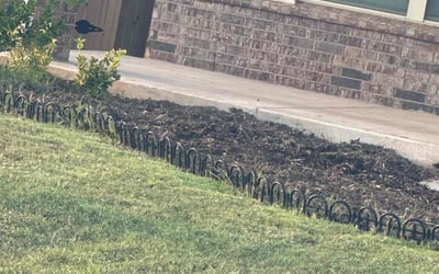 Photo of David A.'s yard after getting landscaping in Lexington, OK