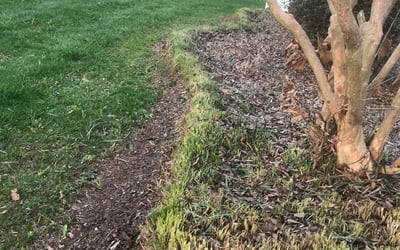 Photo of Ashley J.'s yard after getting tree care in Denver, NC