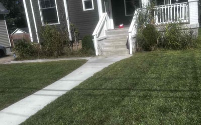 Photo of Matthew J.'s yard after getting tree care in Lawrenceburg, IN