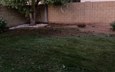 Photo of Casey L.'s yard after getting landscaping in Waddell, AZ