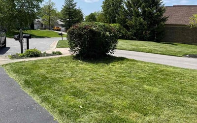 Photo of Brandon A.'s yard after getting landscaping in Augusta, KY