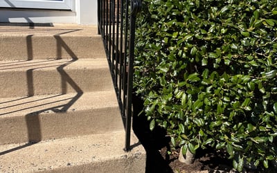Photo of Emmett W.'s yard after getting landscaping in Elkwood, VA