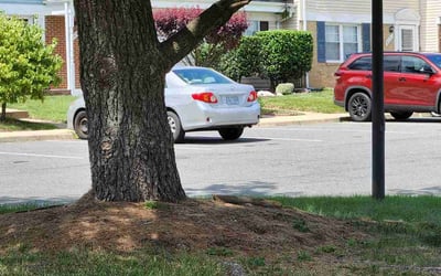 Photo of Oscar G.'s yard after getting landscaping in Dowell, MD