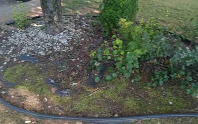 Photo of Ed H.'s yard after getting landscaping in Villa Rica, GA