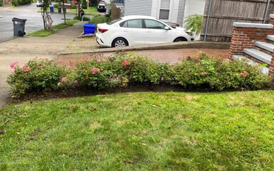 Photo of Dan F.'s yard after getting landscaping in Johnston, RI