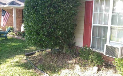 Photo of Mary W.'s yard after getting landscaping in Horn Lake, MS