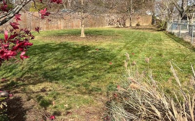 Photo of Jennifer A.'s yard after getting landscaping in Felicity, OH