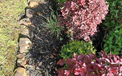 Photo of Chris S.'s yard after getting landscaping in Wallisville, TX