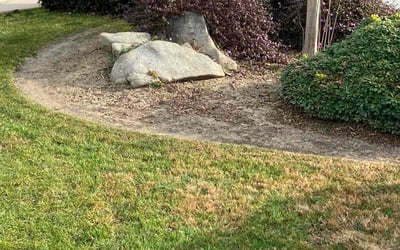 Photo of Jeff S.'s yard after getting landscaping in Kingsburg, CA