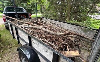 Photo of Mark W.'s yard after getting landscaping in Swanton, OH