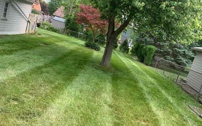 Photo of Kelly S.'s yard after getting landscaping in Clarkston, MI