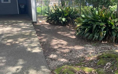 Photo of Michael H.'s yard after getting landscaping in Abbeville, LA