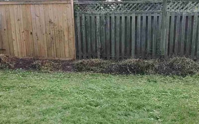 Photo of Patrick B.'s yard after getting landscaping in Bluemont, VA