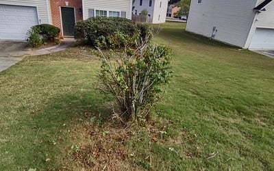 Photo of Andrea C.'s yard after getting landscaping in Statham, GA