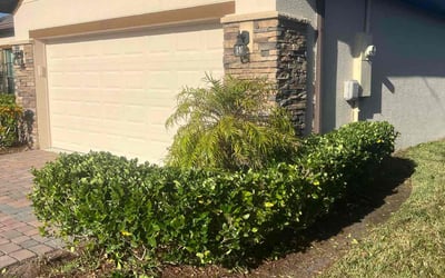 Photo of Nneka N.'s yard after getting landscaping in Cape Canaveral, FL