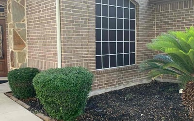 Photo of Angela F.'s yard after getting landscaping in Pleasanton, TX