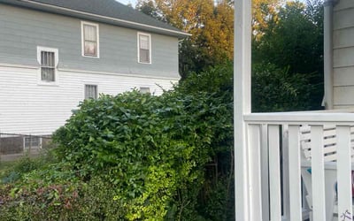 Photo of Emelda D.'s yard after getting tree care in Lake Orion, MI