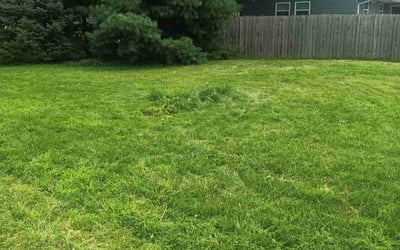 Photo of Mack P.'s yard after getting tree care in Dayton, OH