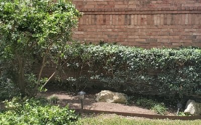 Photo of Lisa B.'s yard after getting landscaping in Tarpley, TX