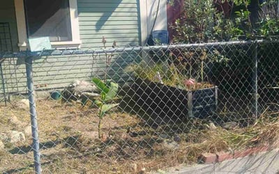 Photo of Carmen P.'s yard after getting tree care in Nevada City, CA