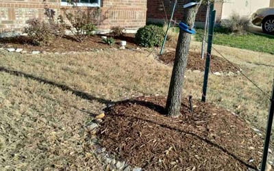 Photo of Dana W.'s yard after getting landscaping in Princeton, TX