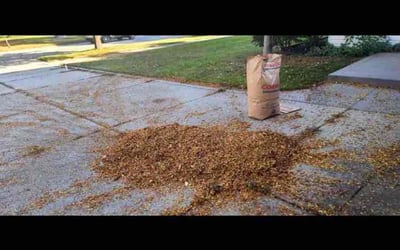 Photo of Evan K.'s yard after getting landscaping in Grosse Ile, MI