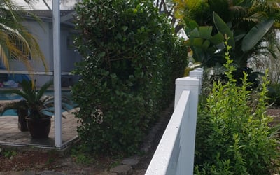 Photo of Samantha S.'s yard after getting landscaping in Saint Leo, FL