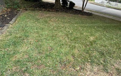 Photo of William H.'s yard after getting landscaping in Sperryville, VA
