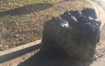 Photo of Amy W.'s yard after getting landscaping in Avalon, TX