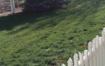 Photo of Ginger J.'s yard after getting landscaping in Silver Plume, CO