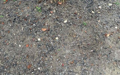 Photo of Deborah H.'s yard after getting landscaping in Lewis Center, OH
