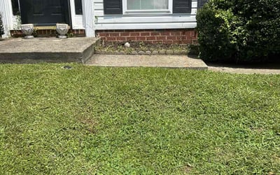 Photo of Ronald M.'s yard after getting landscaping in Doswell, VA