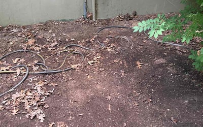 Photo of William R.'s yard after getting tree care in Clayton, NC