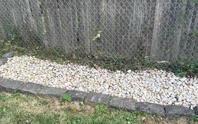 Photo of Shelby B.'s yard after getting landscaping in Elmer, NJ