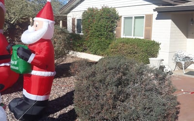 Photo of Ryan V.'s yard after getting landscaping in San Manuel, AZ