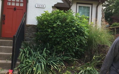 Photo of Kara H.'s yard after getting landscaping in Morning View, KY