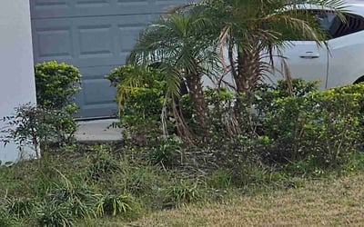 Photo of Jason M.'s yard after getting landscaping in Tangerine, FL