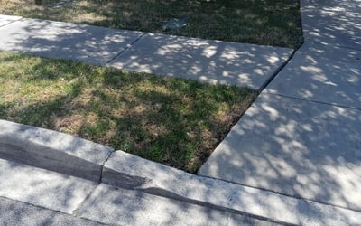 Photo of Jennifer R.'s yard after getting landscaping in Somerset, TX