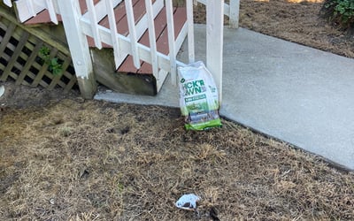 Photo of Dawn E.'s yard after getting landscaping in Delaplane, VA