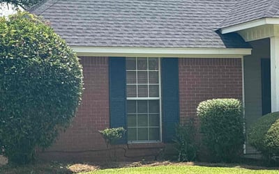 Photo of Brandon M.'s yard after getting landscaping in Brandon, MS