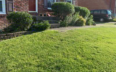 Photo of Daniel R.'s yard after getting landscaping in Fairdale, KY
