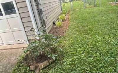 Photo of Megan C.'s yard after getting landscaping in Frederick, MD