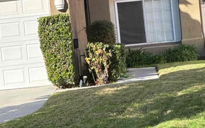 Photo of Justin C.'s yard after getting landscaping in Apple Valley, CA