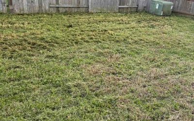 Photo of Brendan I.'s yard after getting lawn care in Dayton, TX