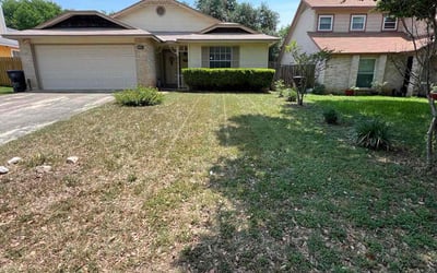 Photo of Felecia S.'s yard after getting landscaping in San Antonio, TX