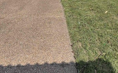 Photo of Mike L.'s yard after getting landscaping in Corpus Christi, TX